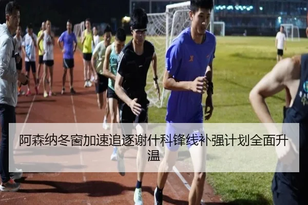 阿森纳冬窗加速追逐谢什科锋线补强计划全面升温